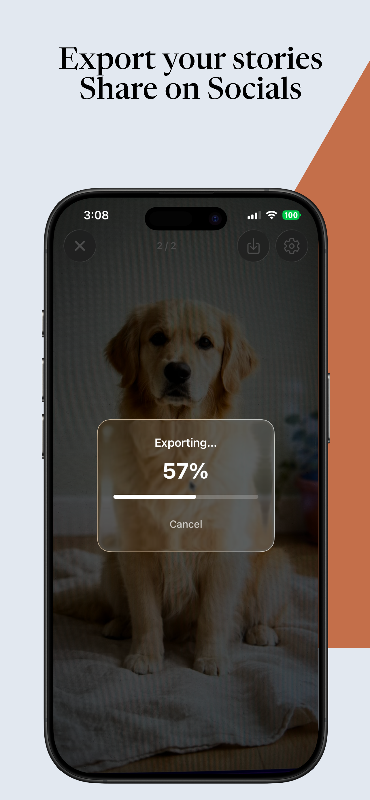 Export & Share Everywhere